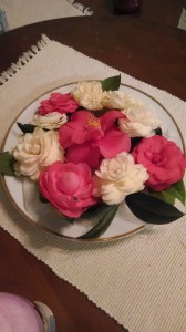 Camellia Easter- 2014-19409