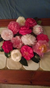 Camellia Bouquet-10CHIMG_107178-2